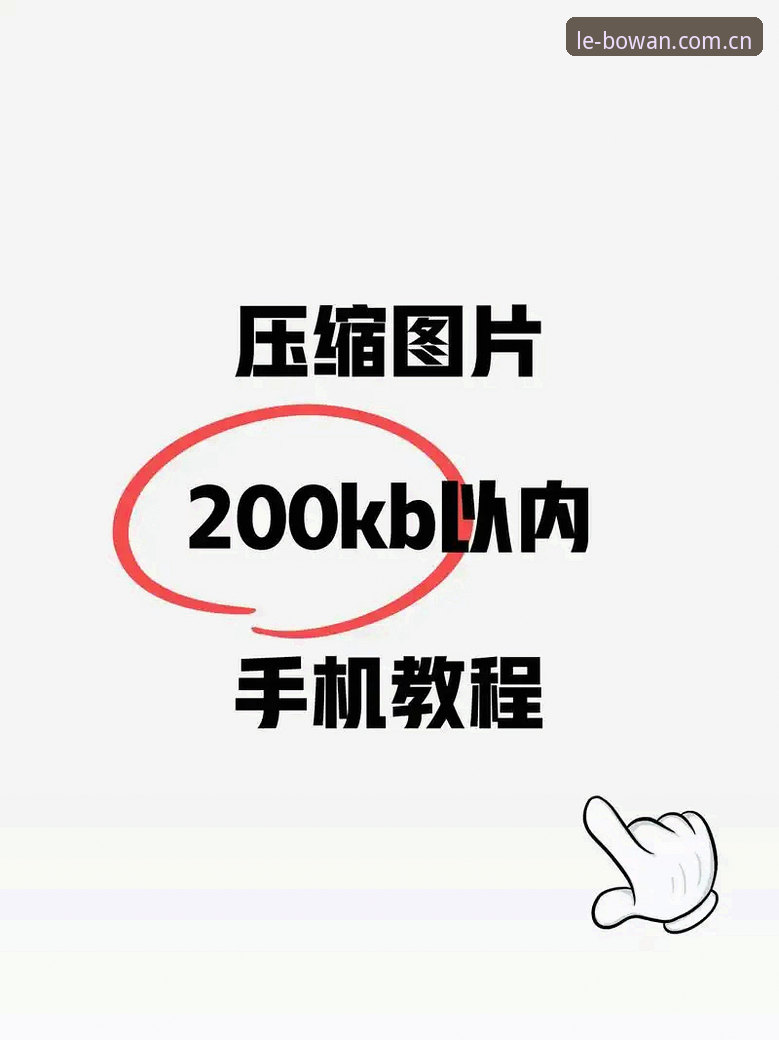 博万APP注册教程全面评测:从下载到登录的完整技术解析